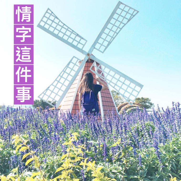 情字這件事
